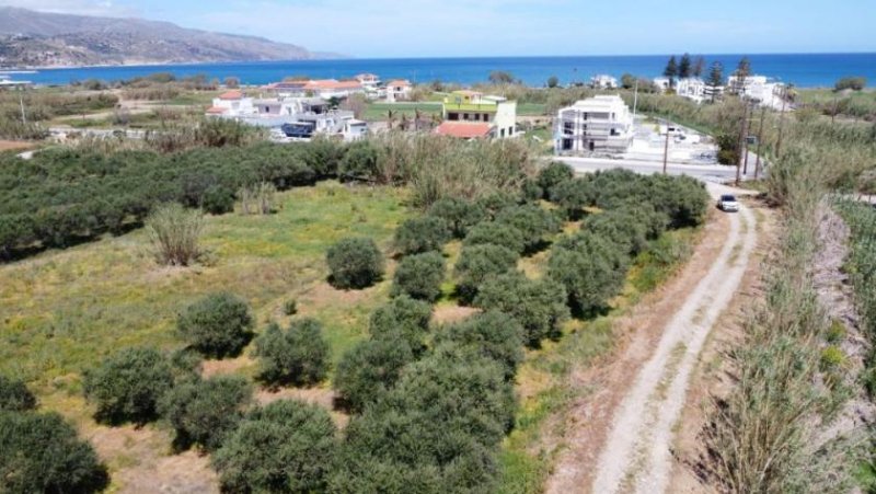 Kolymvari Kreta, Kolymvari: Grundstück nahe eines Sandstrandes zu verkaufen Grundstück kaufen